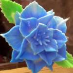 ※氷の彫刻 氷の中に花を削りだす!