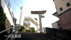 長崎 クスノキと一本柱鳥居