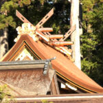 【シリーズの初回】伝統の技「檜皮葺(ひわだぶき)」