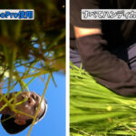 撮影編集テクニック)なぜGoPro使う??