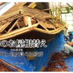 【檜皮葺】第6弾 いよいよ檜皮をはりつけ