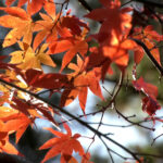 速報)工事がいよいよ完成