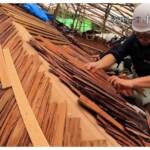 超絶技巧)檜皮葺職人の技