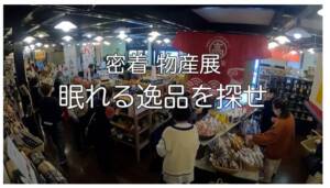 眠れる逸品を探せ