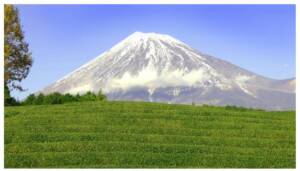 富士山の撮影料金３万円！？