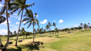 【ちょっとナナメな】ハワイ旅行情報⑥ 〜小ネタ編〜