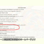 ※【海外映画祭】ゆ、夢にまで見た・・・