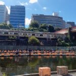 【日本一有名！？】都心の釣り堀