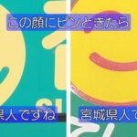 【静岡と宮城】意外なつながり!?