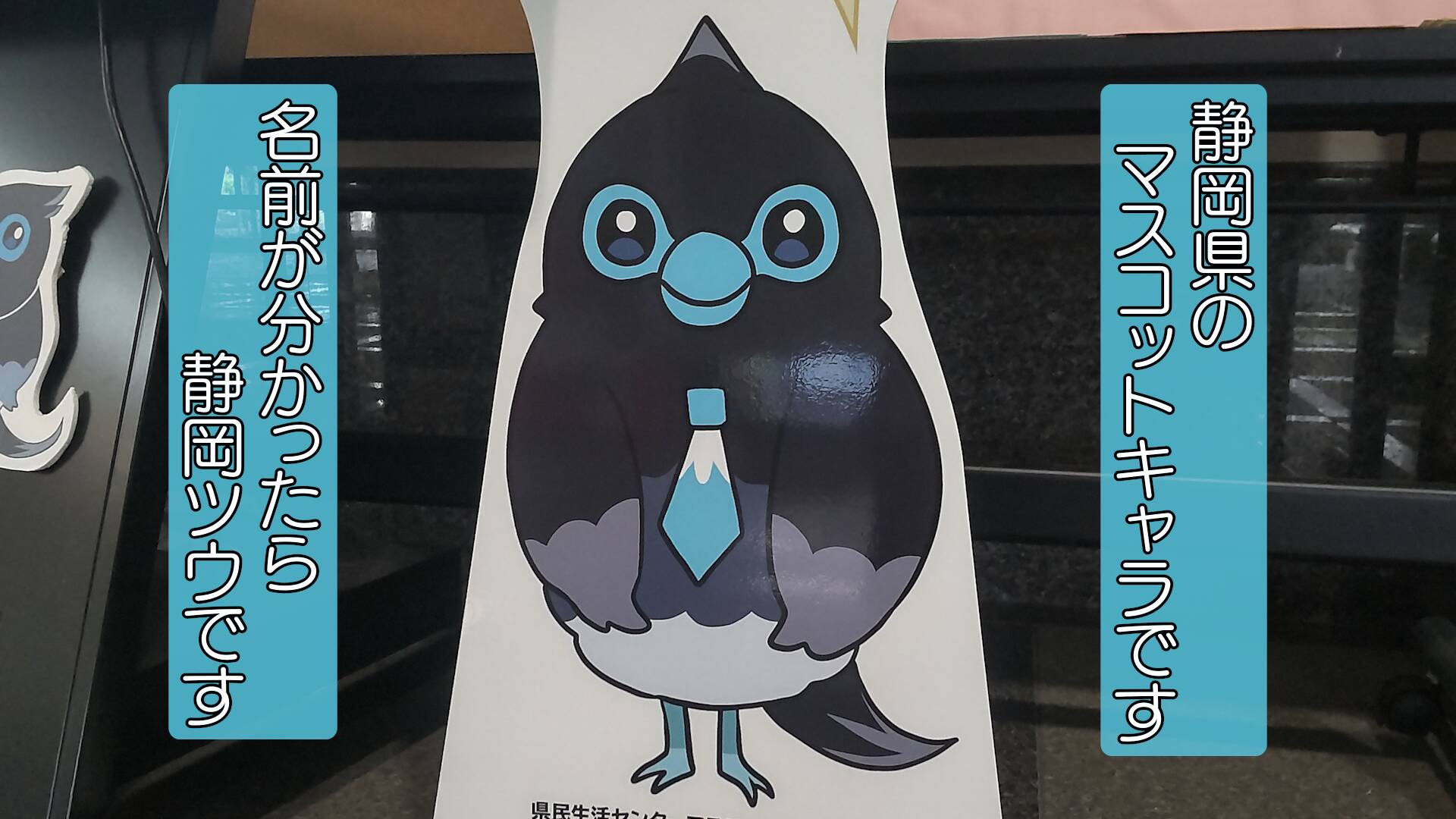 【知ってる?】新!?静岡県のマスコットキャラ