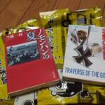 【イタリアの映画祭】旅の準備