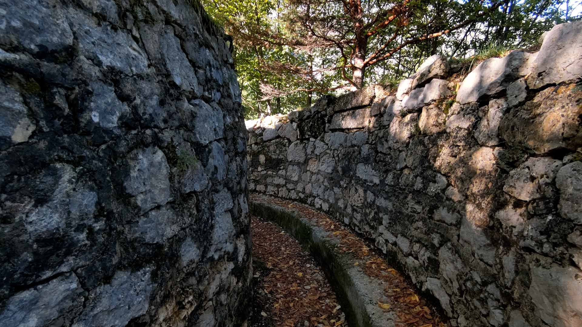 【２週連続】速報版その5　第１次大戦の塹壕跡