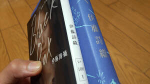 【チケット】ブラックボックスダイアリーズ