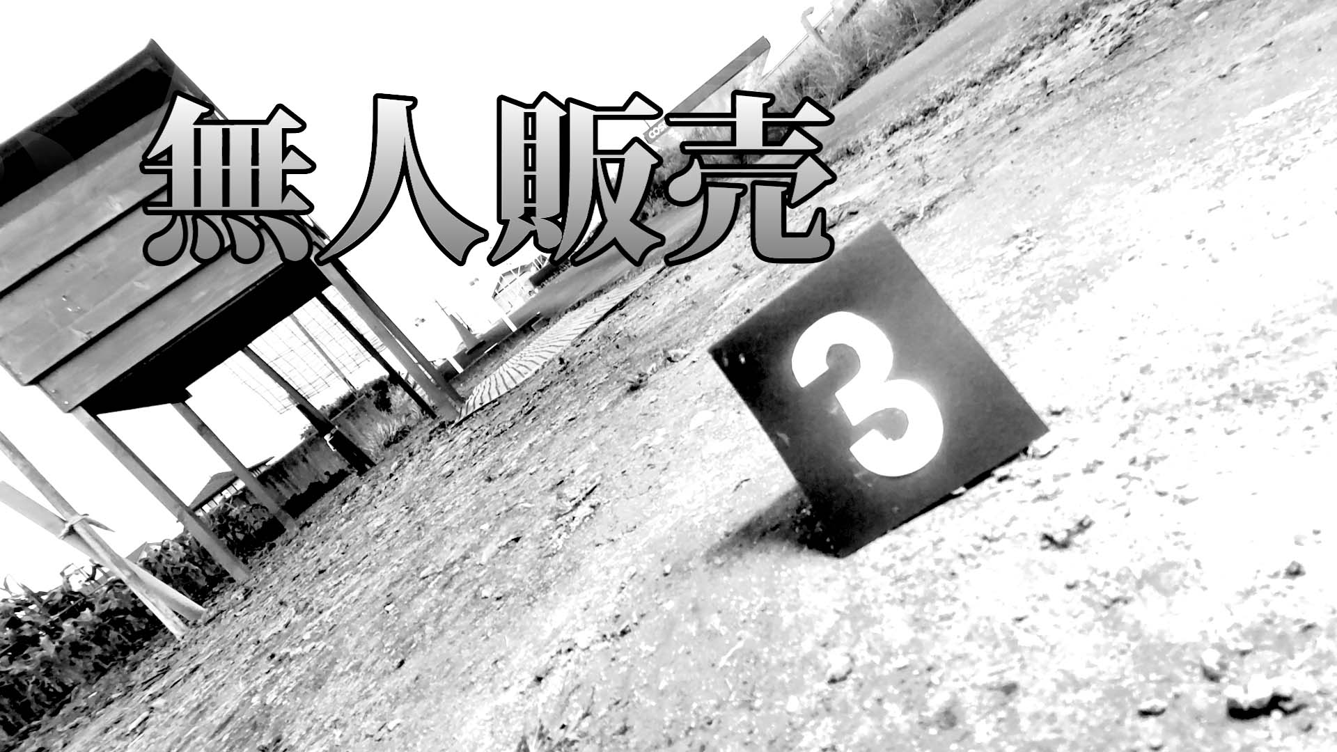 【野菜泥棒03】犯人が小型カメラに
